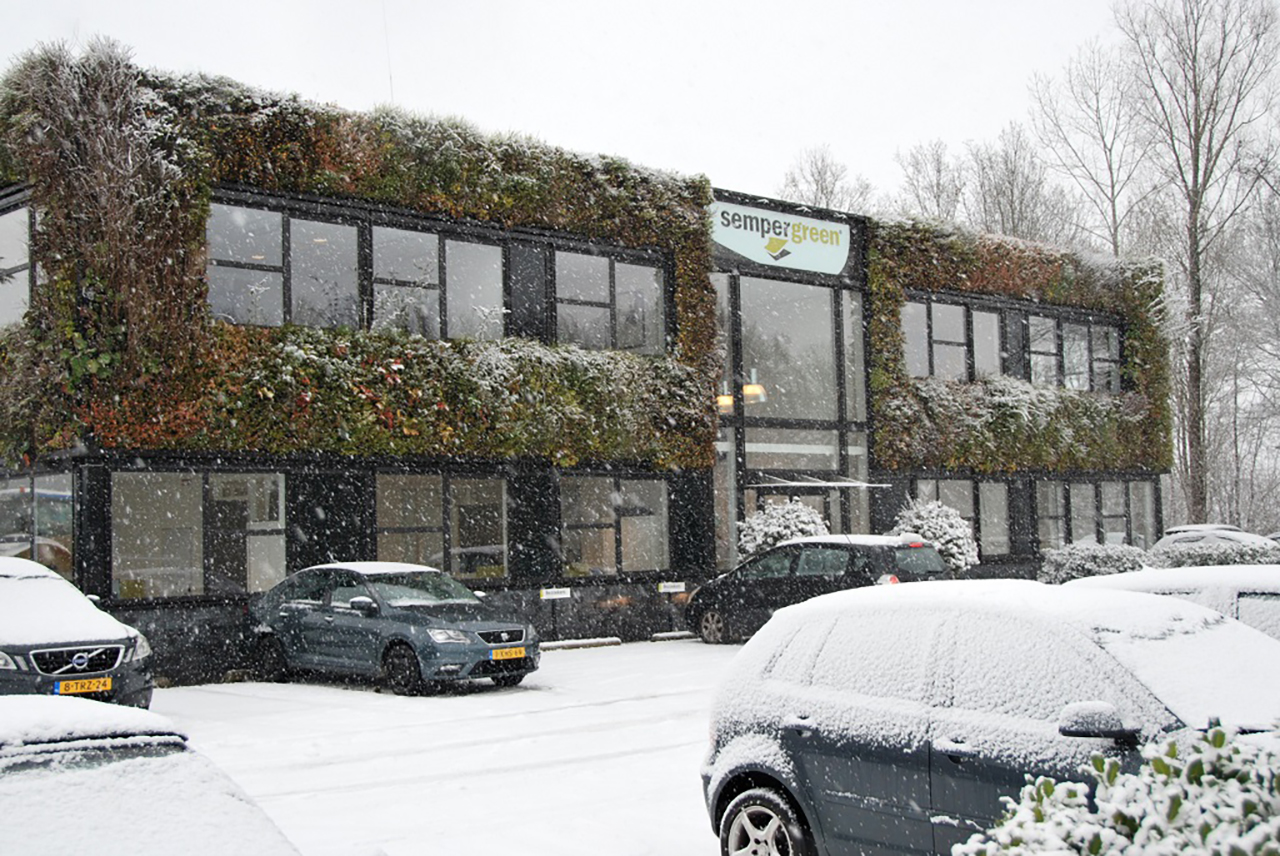 hoofdkantoor Sempergreen in de sneeuw