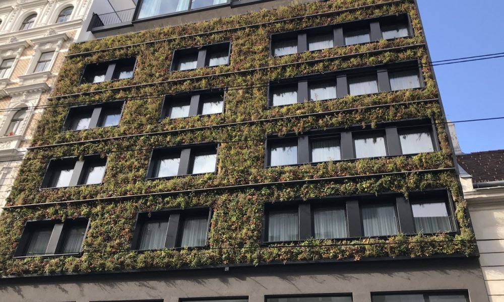 SemperGreenwall_Vienna_Hotel-Gilbert_maintenance