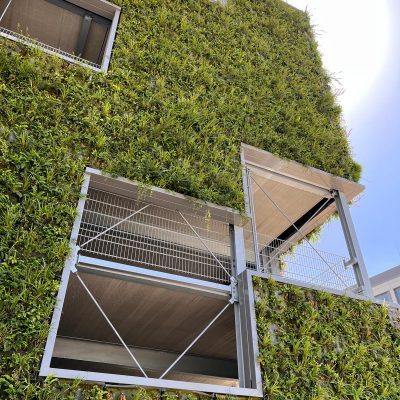 TONIPark Augsburg SemperGreenwall (2)